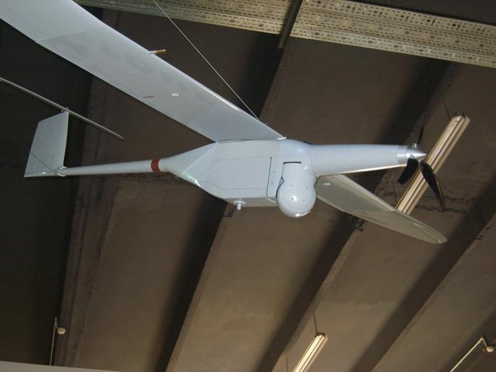 s8000026.jpg