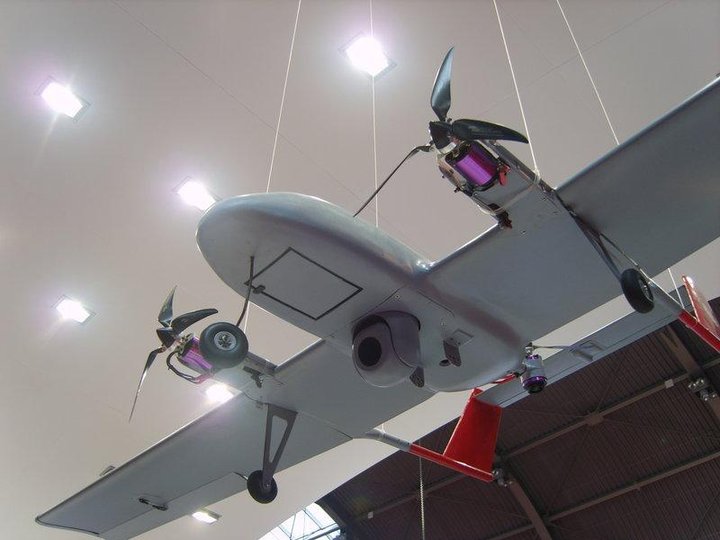 s8000103.jpg