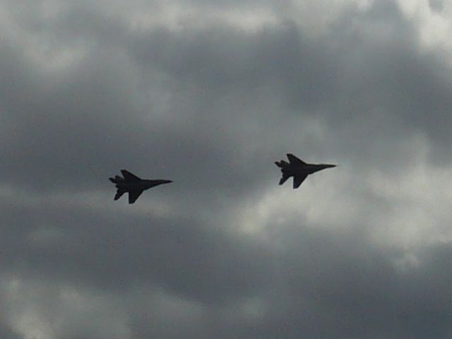 p1060002t.jpg