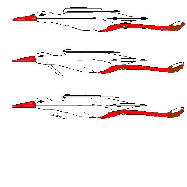 Bok Bociana.JPG