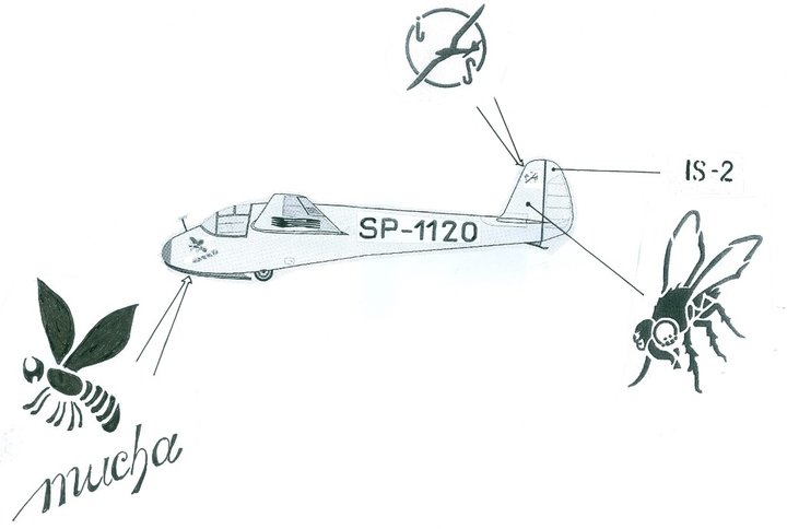 IS-2 .jpg