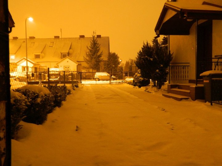 DSCN3017.jpg
