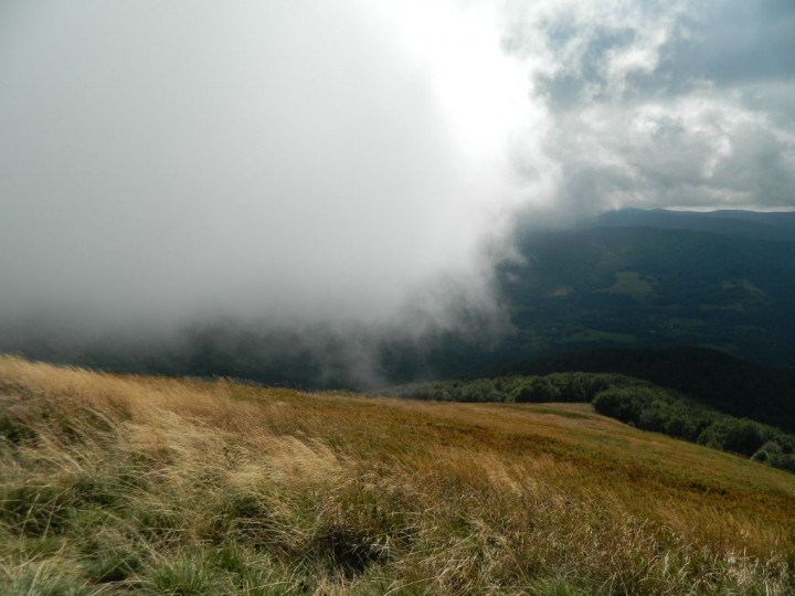 DSCN4196.jpg