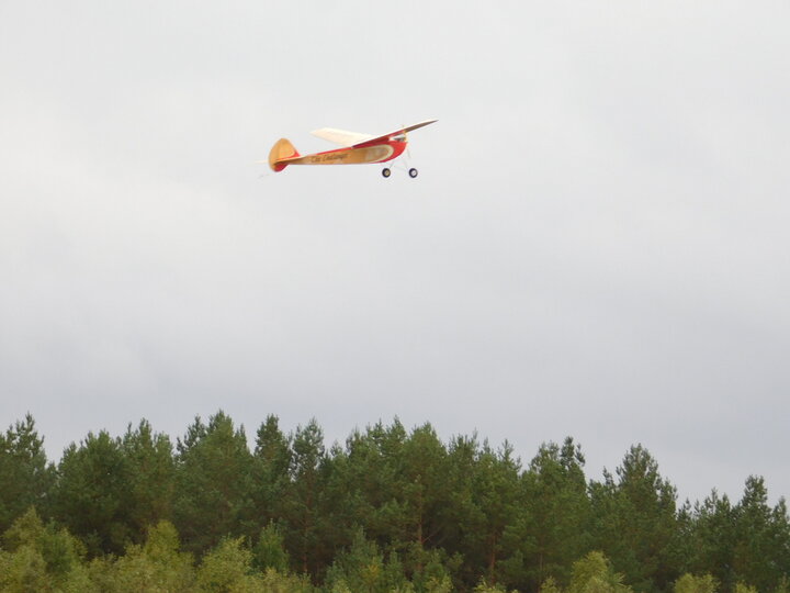 DSCN3029.JPG