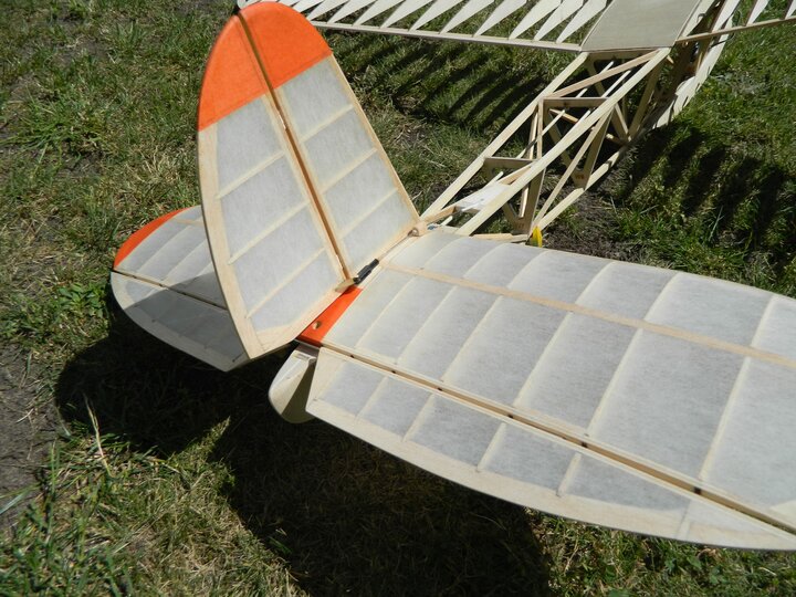 DSCN6619.jpg