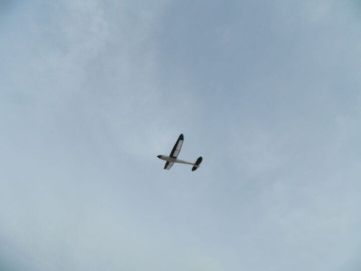 DSCN6907.jpg