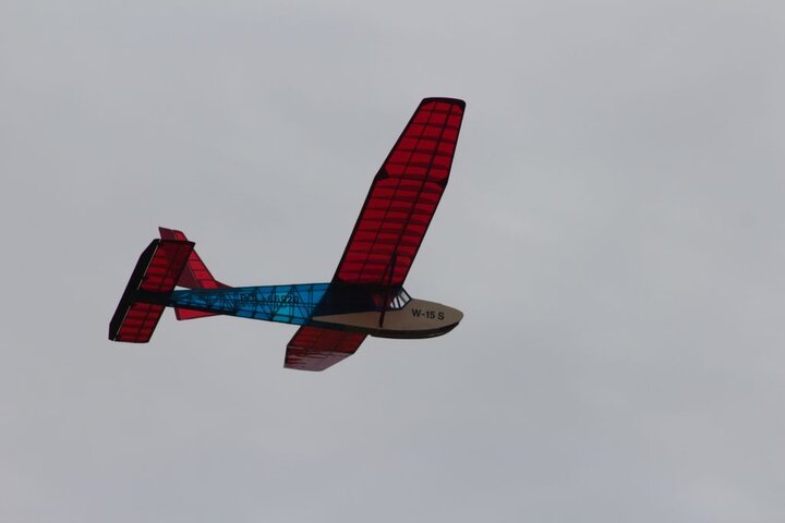 IMG_2440.jpg