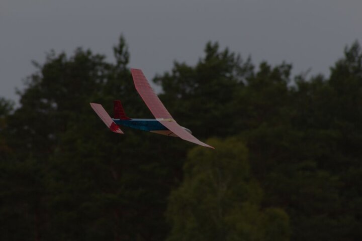 IMG_2455.jpg