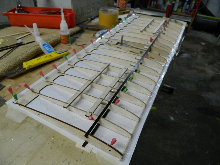 DSCN7005.jpg