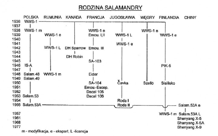 SALAMANDRA.JPG