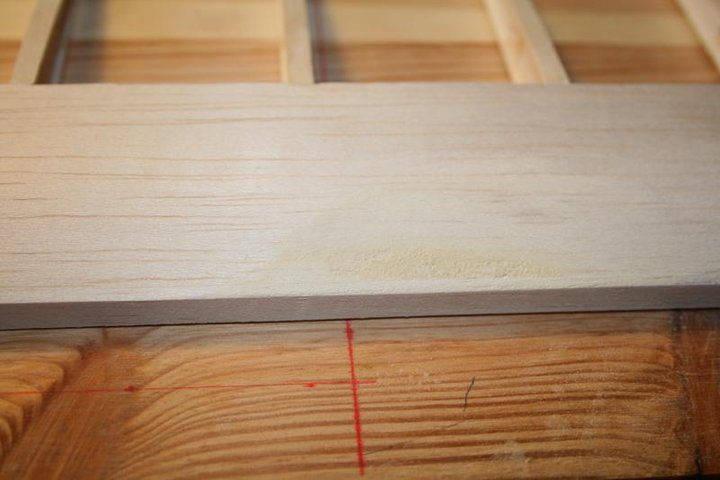 img9777t.jpg