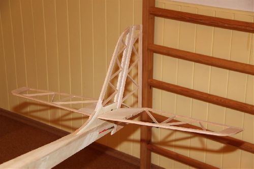 IMG_5562tail.jpg